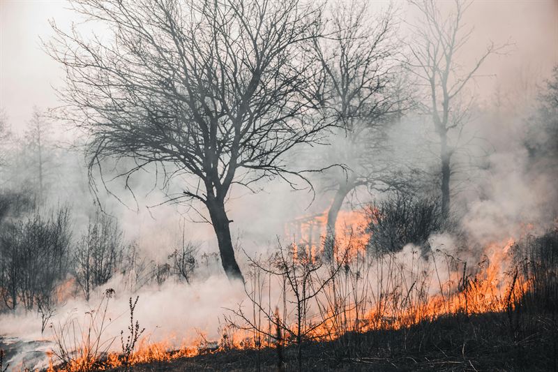 Combate a Incêndios Florestais